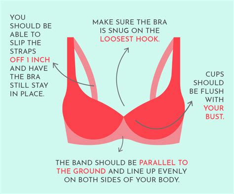 How To Make Sure You Re Wearing The Correct Bra Size Ph