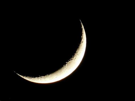 Shoreline Area News Photo Crescent Moon