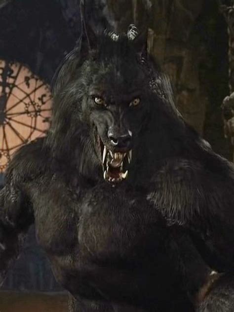 Gabriel Van Helsing Werewolf Form Van Helsing Vs Count Dracula Van