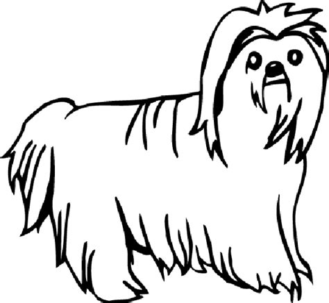 Coloring pages holidays nature worksheets color online kids games. Fluffy Dog Coloring Pages