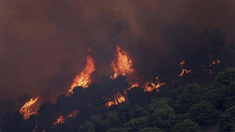 Kebakaran Hutan Di Spanyol Paksa Ribuan Warga Mengungsi Tiga Petugas