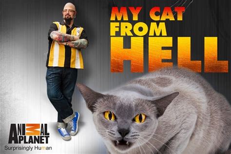 We did not find results for: My Cat From Hell Instant Streaming