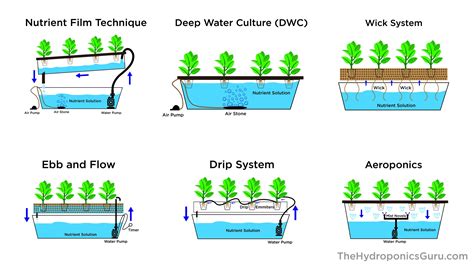 Ebb And Flow Hydroponic System Advantages And Disadvantages Be Loaded
