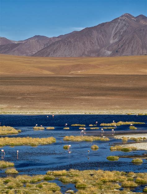 Free Stock Photo Of Agriculture Atacama Blue Lake