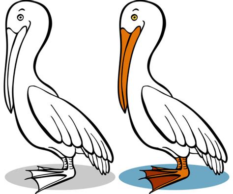 ᐈ Pelicans Stock Illustrations Royalty Free Pelican Pictures