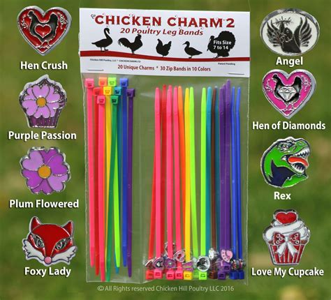 Charm leg bands are enjoyable to see on your feathered friends. Chicken Charm Leg Bands | Leg bands, Chicken diy, Chickens
