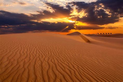Excursion Sahara Tunisie Découvrez une Aventure Inoubliable Sahara