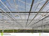 Pictures of Greenhouse Roof Glass