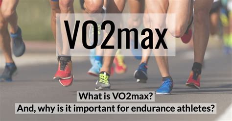 Vo2 Max 101 How To Test Calculate And Improve It