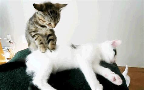 Look no more, help has arrived…. Love GIFs - Find & Share on GIPHY