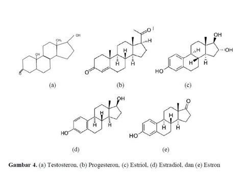 Gambar yang menunjukkan campuran adalah gambar (3). Chemistry Education: Keanekaragaman Struktur Kimia Steroid