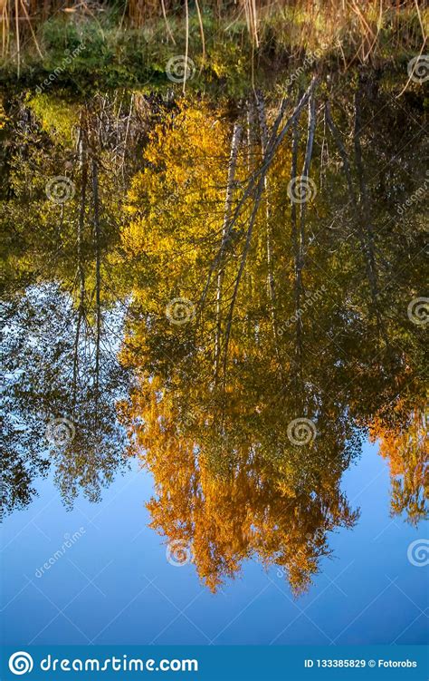 Autumn Landscape With Colorful Trees And Reflection In