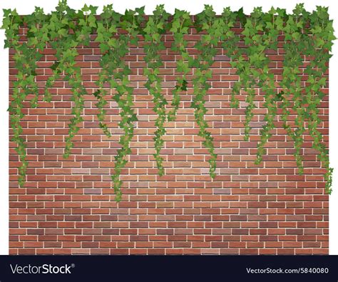 List 94 Wallpaper Ivy Wallpaper For Walls Full Hd 2k 4k