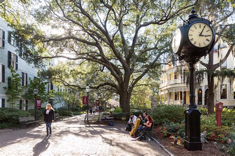 Beauty Shots From Cofc The Most Beautiful College Campus