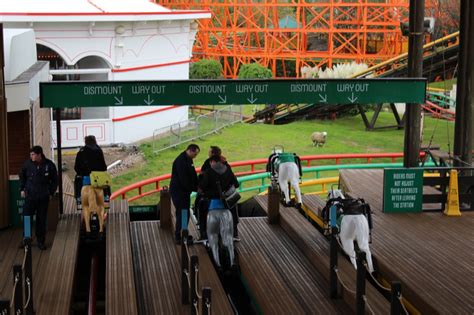 Pleasure beach blackpool is een van de meest bezochte parken van europa met ongeveer vijf tot zes miljoen bezoekers per jaar. Steeplechase - Blackpool Pleasure Beach - Pretparken.be