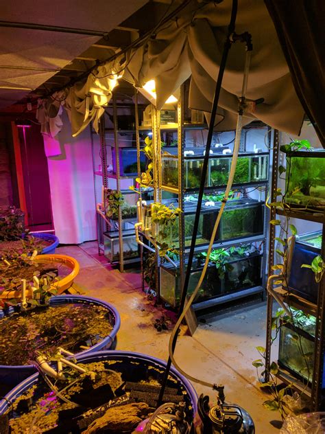 MTS Monday. This is a follow up from a few months ago when I picked up