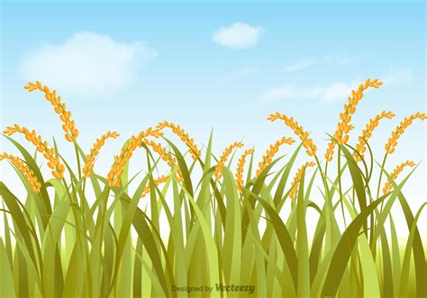 Vector Rice Field Illustration 123771 Vector Art At Vecteezy