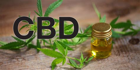 It can successfully replace synthetic pain relievers, which are want to relieve pain faster? How to Use CBD Lotion for Pain Relief - We CBD Hemp - Best ...