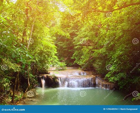 Streams Waterfalls And Forests On Warm Light Stock Photo Image Of