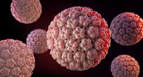 Human Papilloma Viruses Tot Ce Trebuie Sa Stii Despre Hpv Simptome
