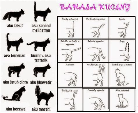Yang perlu kita pelajari adalah dengan menghafalkan kosa kata berbahasa arab mulai dari nama benda, nama hari dan juga nama binatang. ekekeke: Agustus 2014