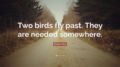 Robert Bly Quote Two Birds Fly Past They Are Needed Somewhere