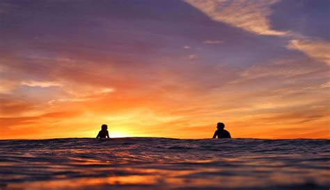 Why is all cryptocurrency going down : Here's What You Should Be Eating Before a Surf Session and ...