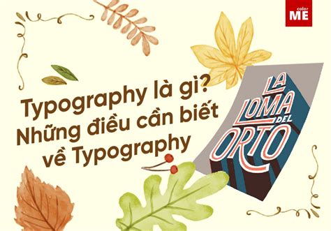 Typography là gì Những điều cần biết về typography
