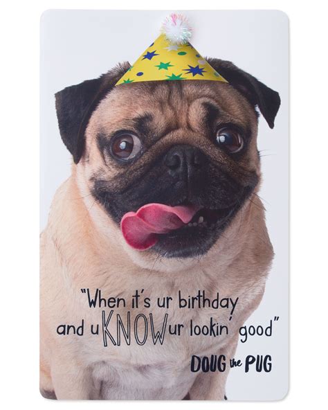 American Greetings Doug The Pug Birthday Card With Foil