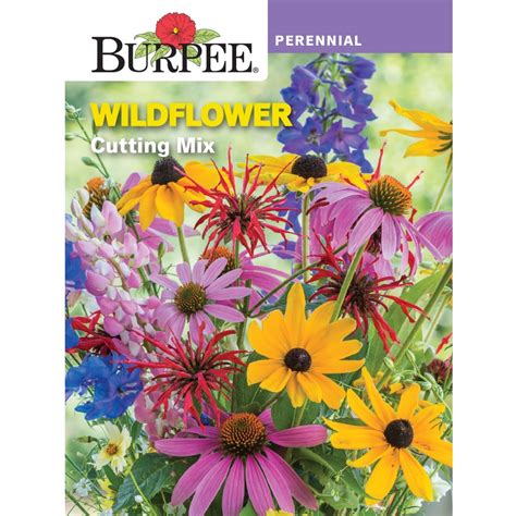 Burpee Cutting Mix Wildflower Flower Seed 1 Pack