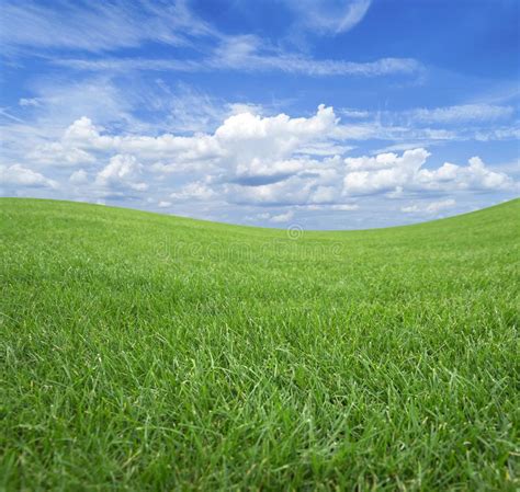 Green Field Against The Blue Sky With White Clouds Stock Photo Image