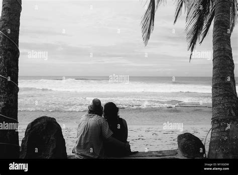 Couple Sitting Under Palm Trees Stock Photo Alamy