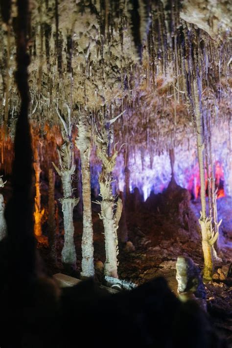 Beautiful Shot Of Stalactite Formation In Stalactite Cave Israel Stock