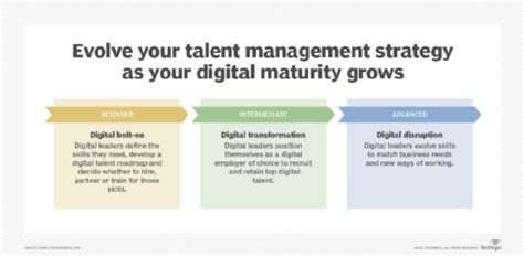 The Importance Of Digital Culture In Digital Transformation