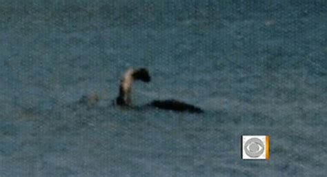 Photos Champ American Loch Ness Monster