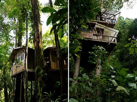 Finca Bellavista A Sustainable Treehouse Community Costa Rica