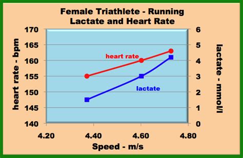 Lactate Testing For Triathlon Training How To Use Lactate Testing To