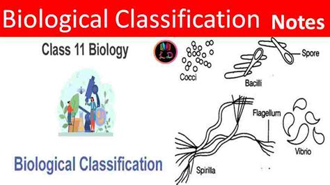 ncert solution class 11th biology chapter 2 biological classification notes last doubt