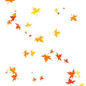 Falling Yellow Leaf, Falling Leaf Png, Leaf Png Clipart, Fall Leaves Png PNG Transparent Clipart ...