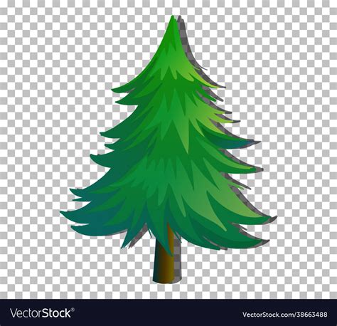 An Evergreen Tree On Transparent Background Vector Image