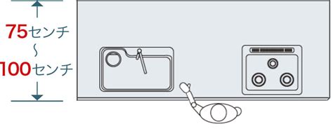 自民外交部会、コロナ対策「入国の全面停止を」 政府に申し入れ… 男子中学生にリンチした疑い 高校生ら少年６人を逮捕 神奈川県… 【ナスラック】システムキッチンのサイズ（寸法 ...