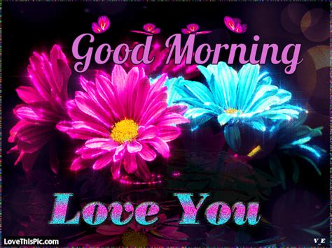 Download Good Morning Love Quotes  Png And  Base