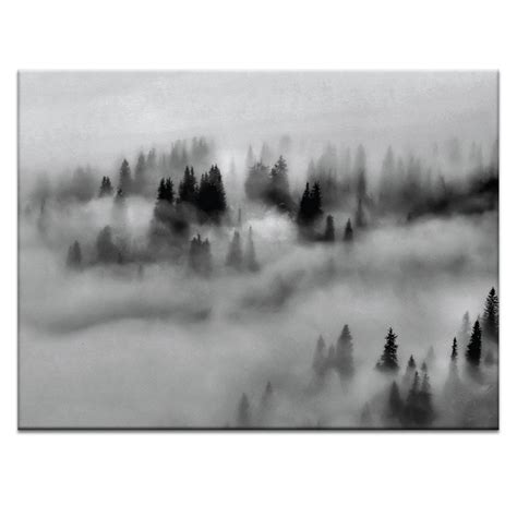 Photographers Lane Ground Fog Wall Art 109ph P2627 Hand Painting