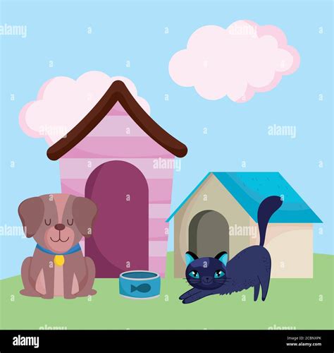 Pet Shop Brown Dog And Cat With Houses And Food Animals Domestic