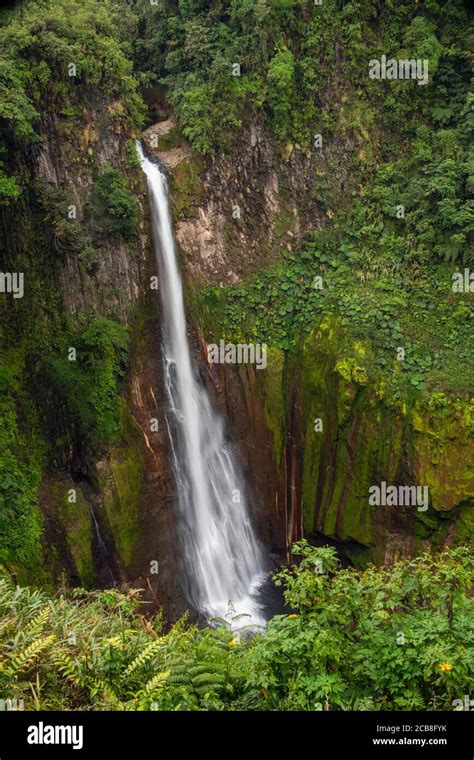 Catarata Del Toros Waterfall And Surrounding Flowers On The Gorge Rim