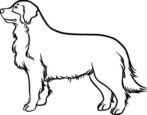 Malvorlage Berner Sennenhund | Coloring and Malvorlagan