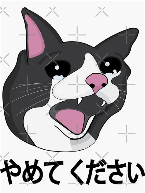 Yamete Kudasai Meme Crying Cat Yamero Japanese Words Sticker By