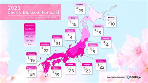 2023 Cherry Blossom Forecast Part 1 Cherry Blossoms To Bloom First