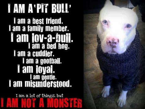 Love Pits Pitbull Quotes Dog Quotes Pitbull Facts Pitbull Puppies