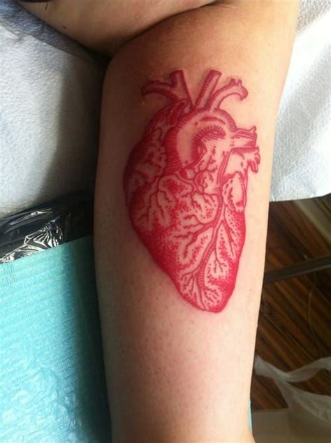 Anatomic Heart In Dotwork Artist Unknown Anatomicheart Heart
